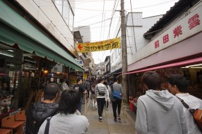 DSC02529
