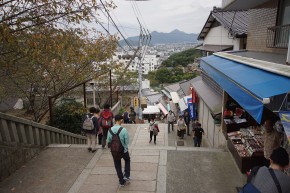 DSC02537