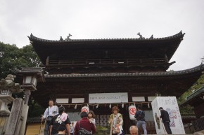 DSC02541