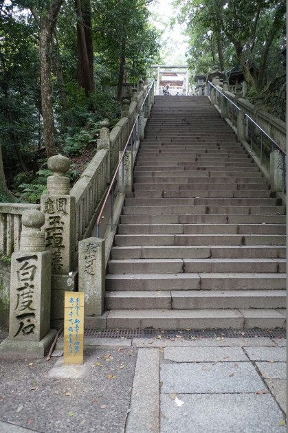 s-DSC07987