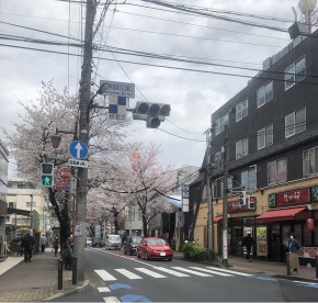 初代カメラマノン　朝の風景