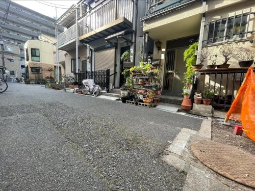 現地写真（2/28撮影）