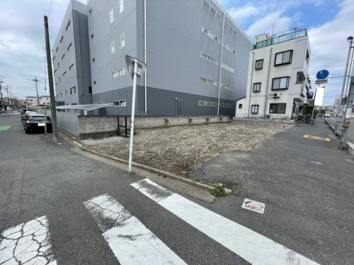 現地写真（6/14撮影）