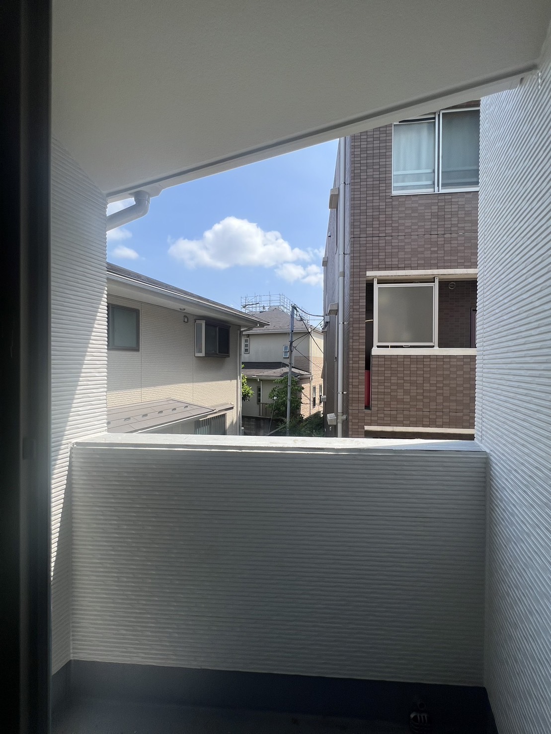現地写真（5/21撮影）