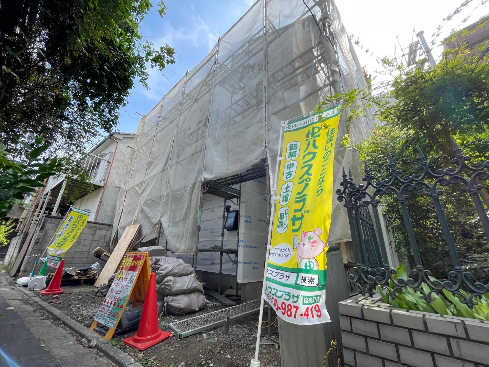 現地写真（6/24撮影）