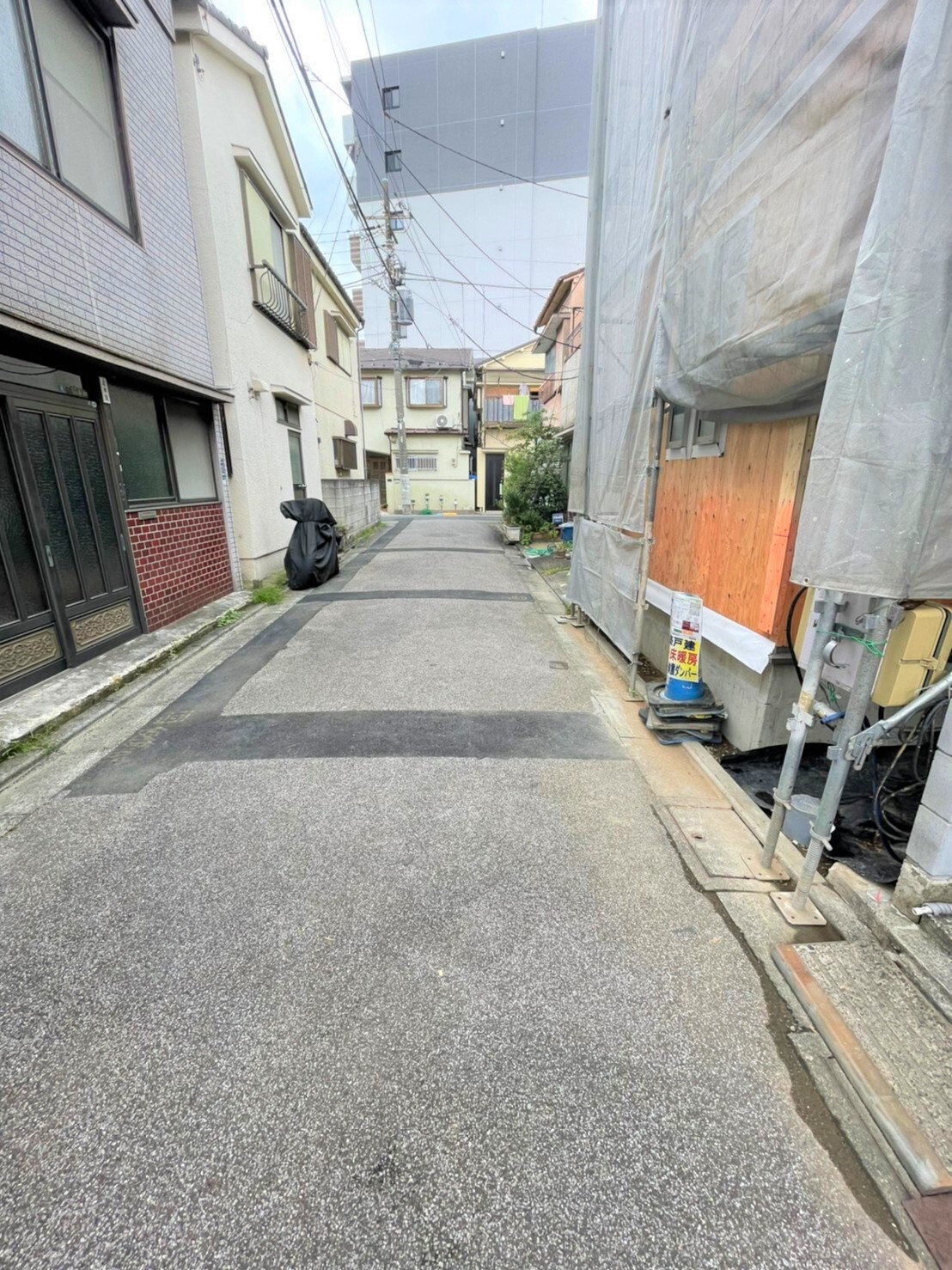 現地写真（3/1撮影）