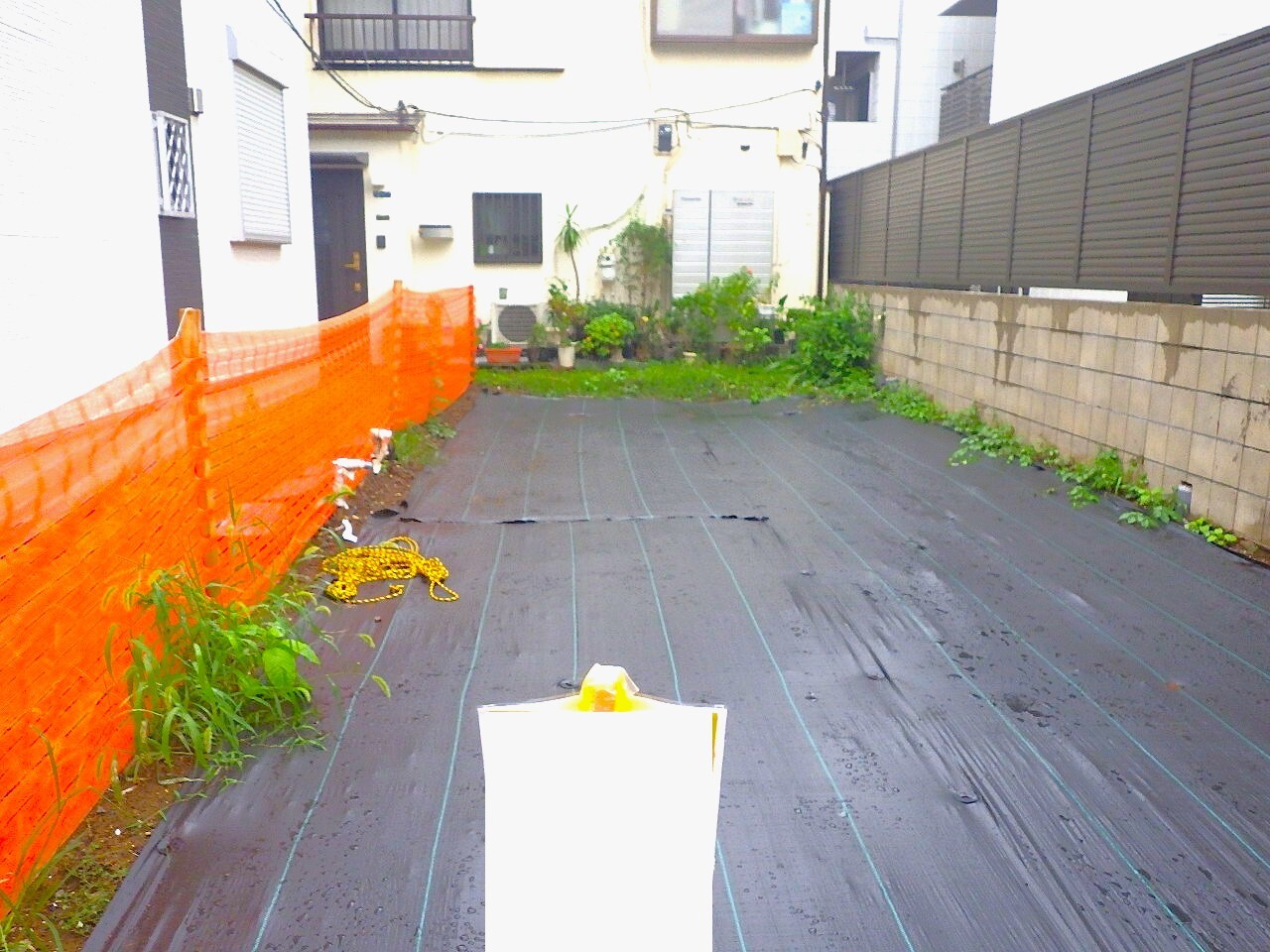 現地写真