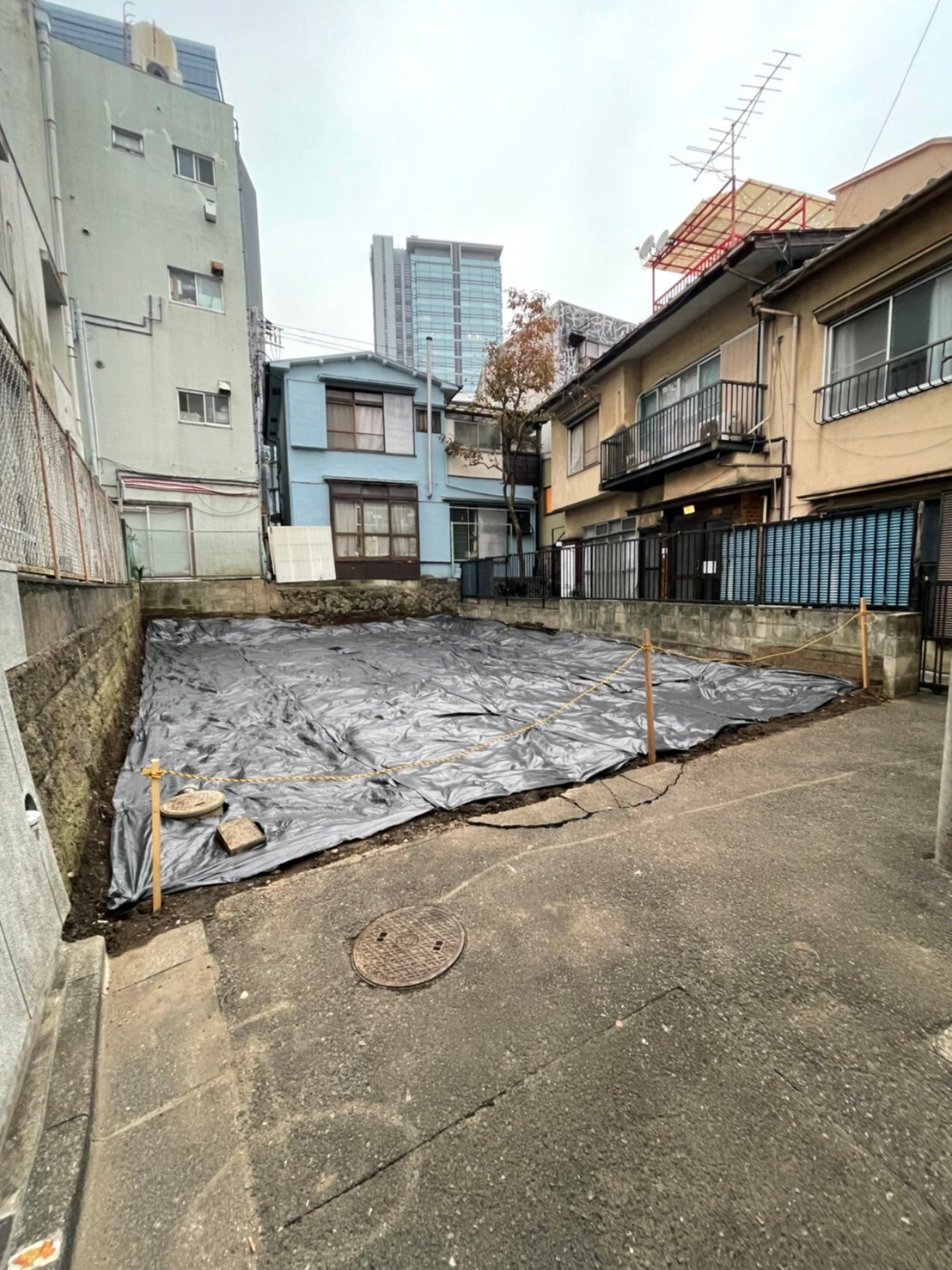 現地写真（11/21撮影）